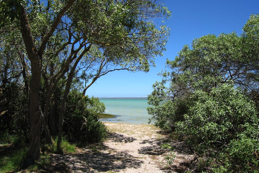 Sharks Bay, Langebaan