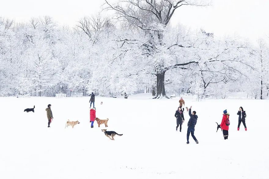 Why Winter is the Time for a Ramble