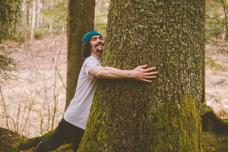 Little Difference plant a tree to help address global deforestation