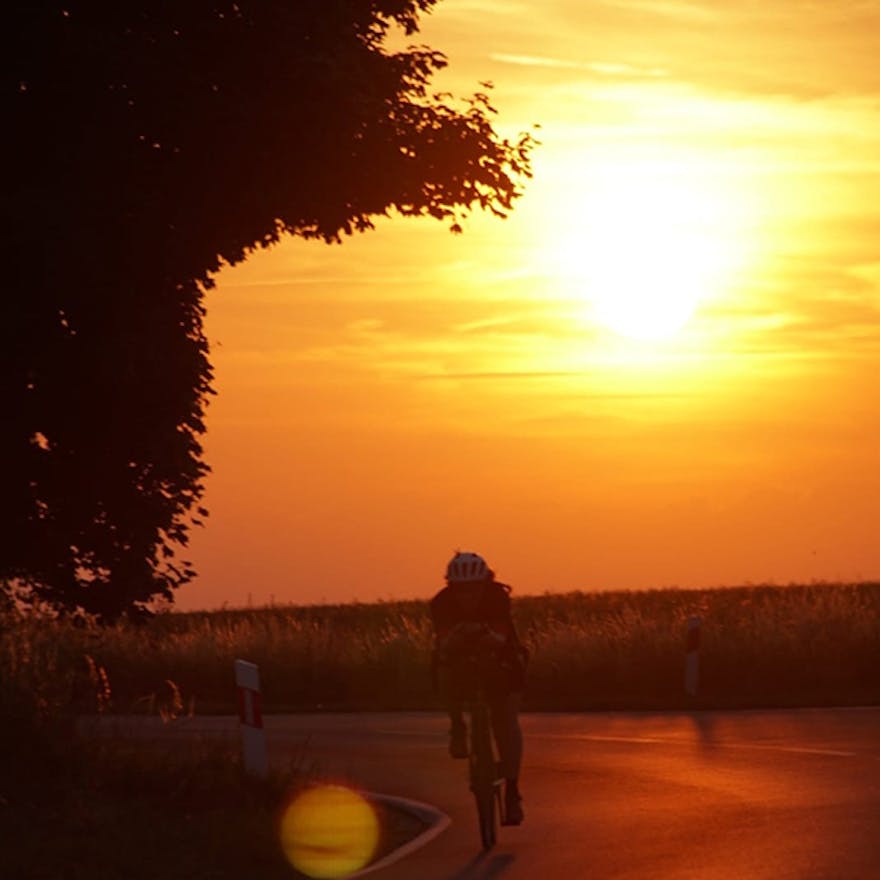 Sunset Cycling, Jenny Graham.