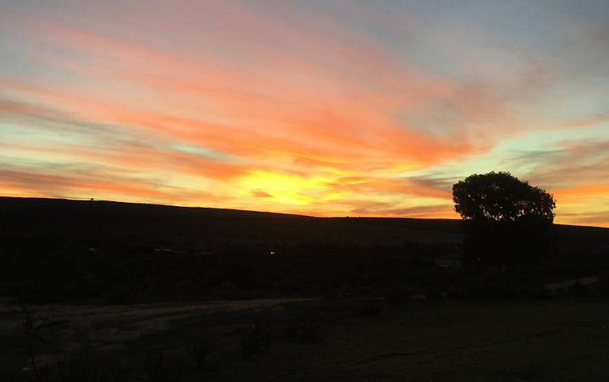 Field Guide: Rocklands, South Africa