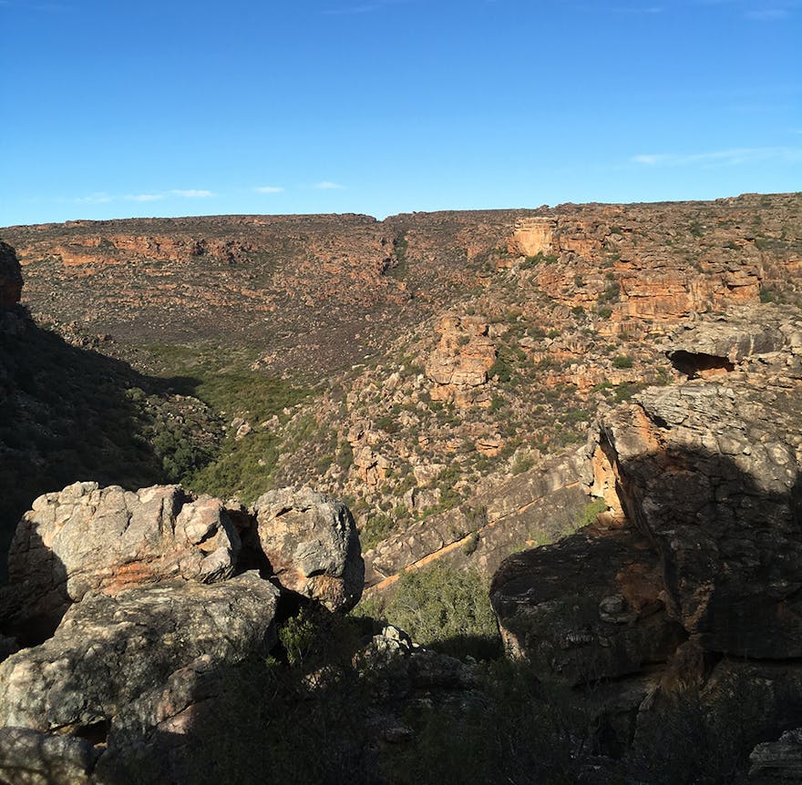 Field Guide: Rocklands, South Africa