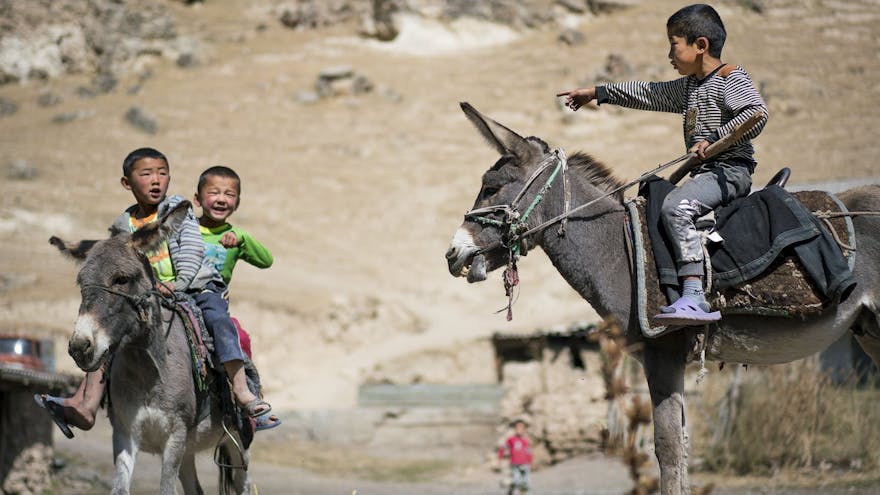 Local children riding donkeys